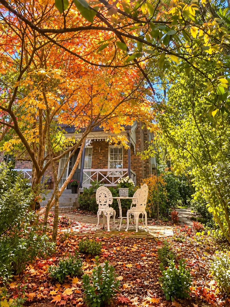 Warm autumn colours in the cottage garden